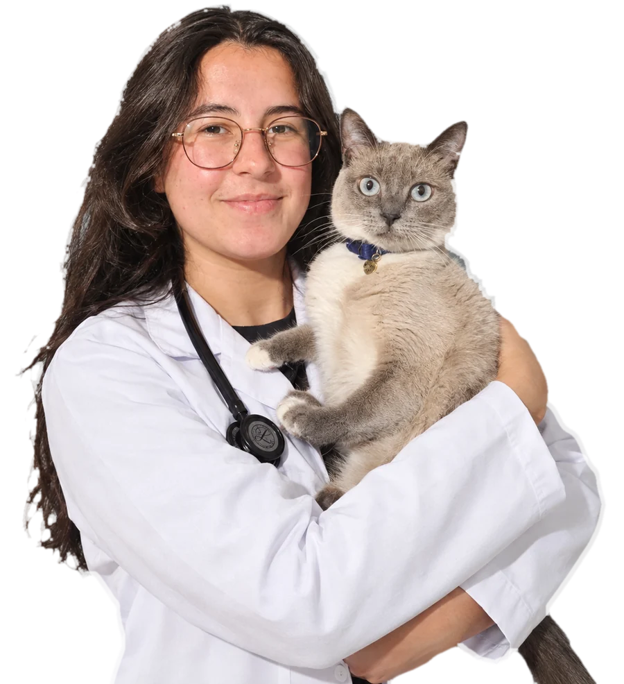 Médica-veterinária Fernanda Iachecen, de jaleco, segurando um gato no colo